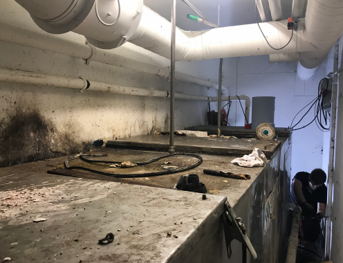 Article image container